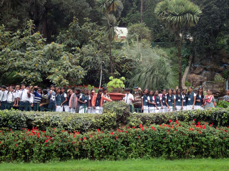 class_picnic11