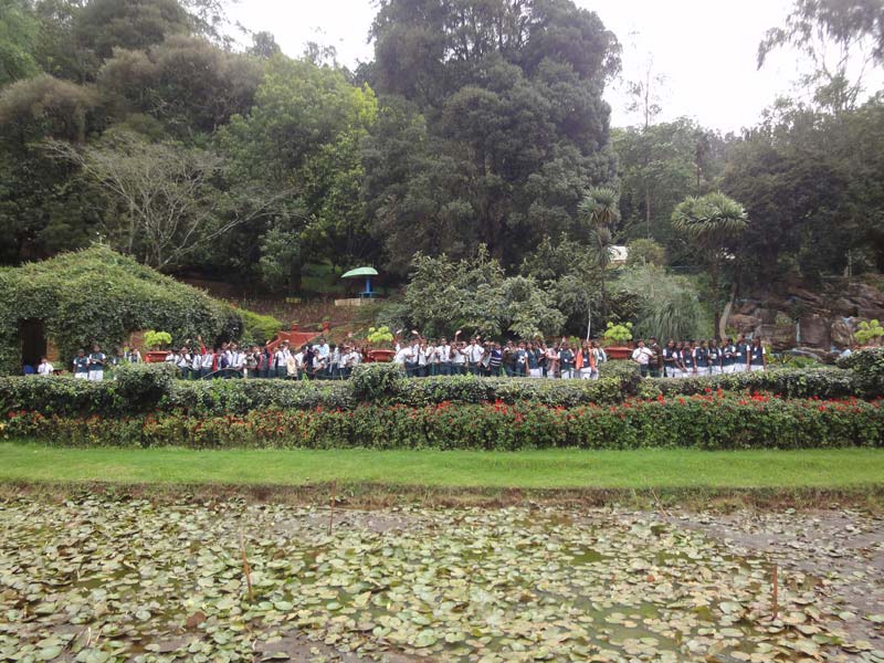 class_picnic12